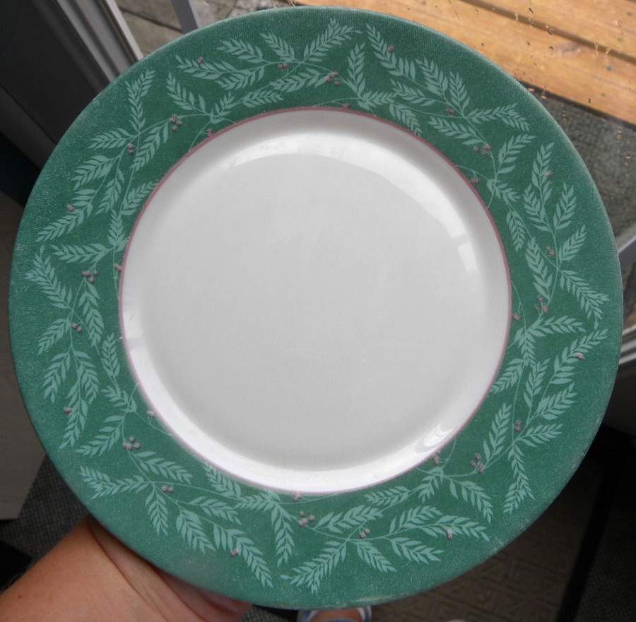 ARP65 Salad Plate by Arcopal-1