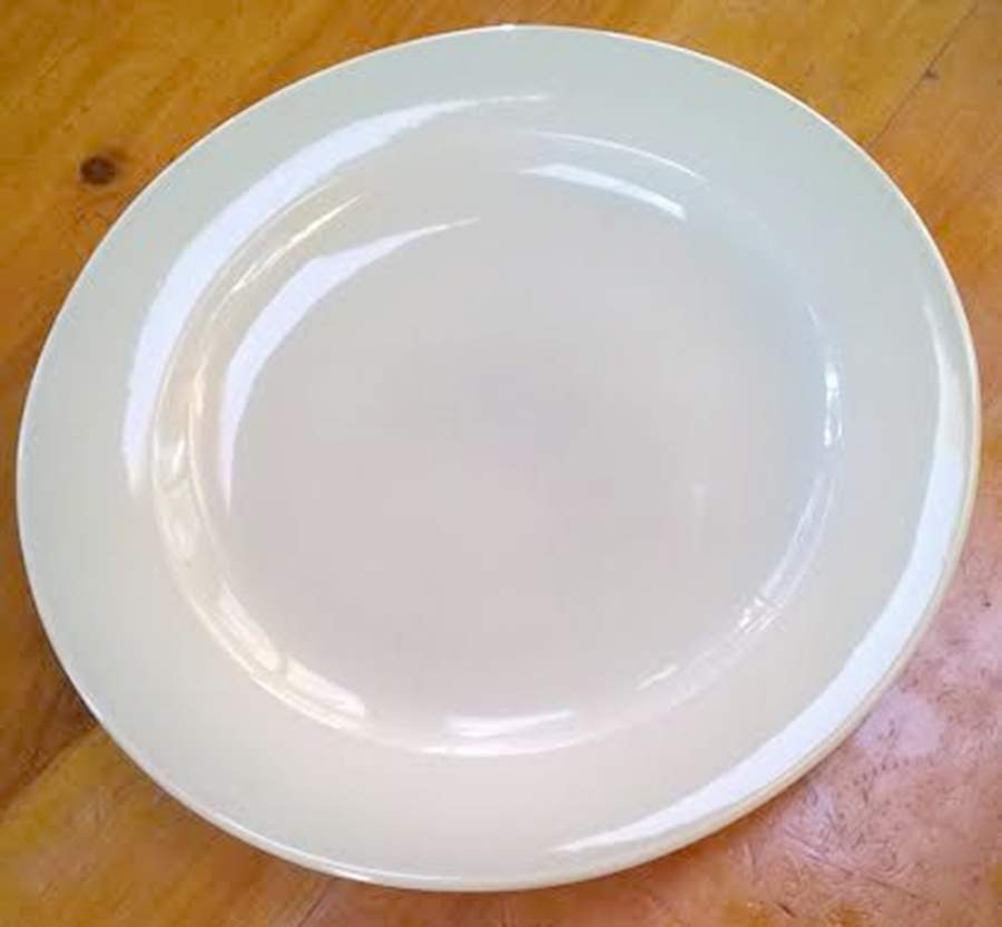 Almost Round Pale Green Dinner Plate by Americaware-1