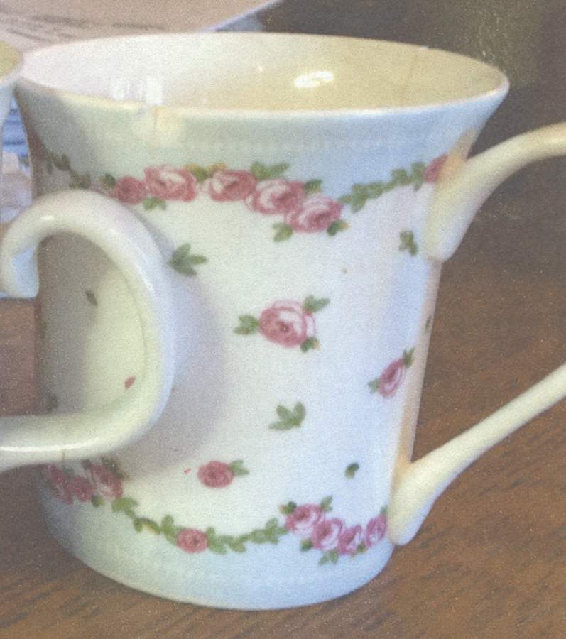 Rosalie, The Mug by Ashdene-1