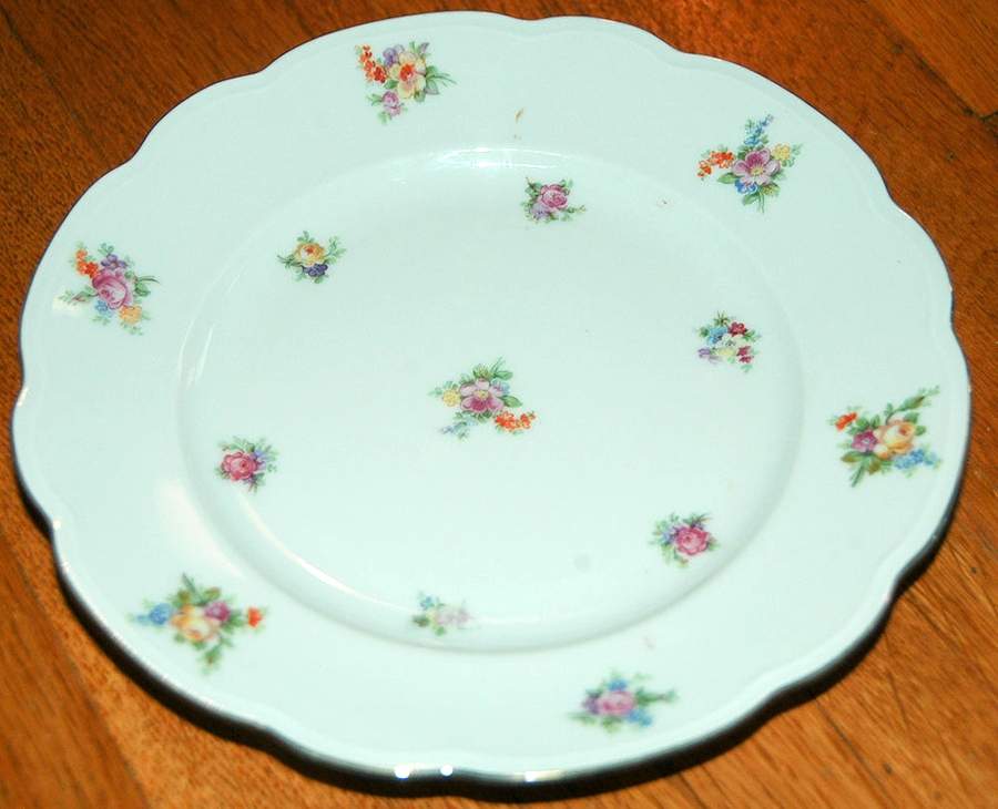 ALT859 Dinner Plate by Altrohlau-1