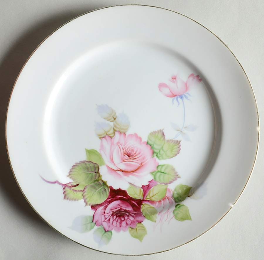 AIT5 Dinner Plate by Aito Japan-1