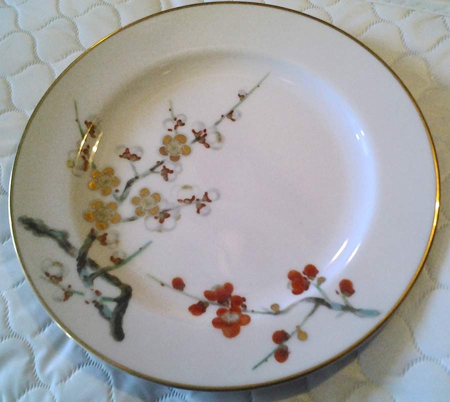 ALB26 Dinner Plate by Albion-Japan-1