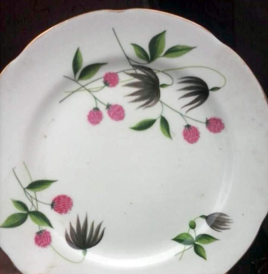ADD126 Salad Plate by Adderley-1