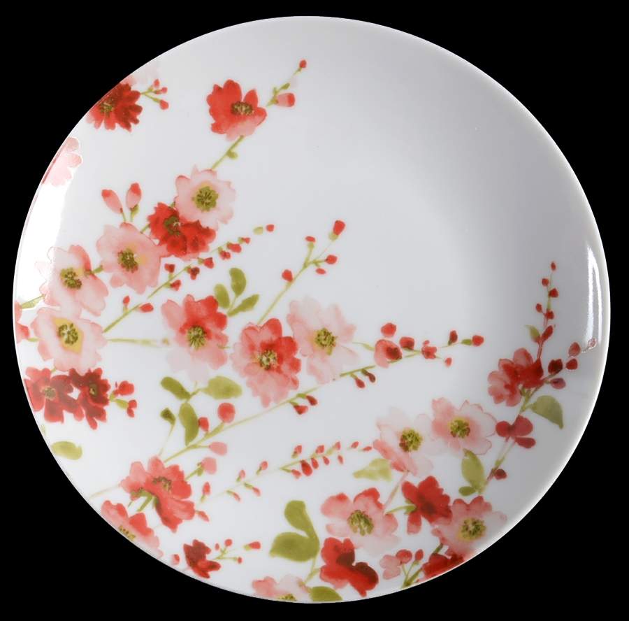 Belicia Red Appetizer Plate by 222 Fifth (PTS)-1