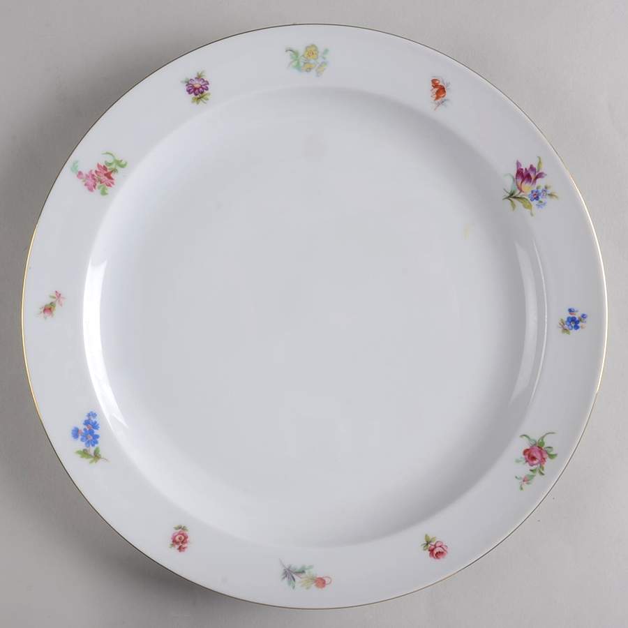 ARZ277 Dinner Plate by Arzberg-1