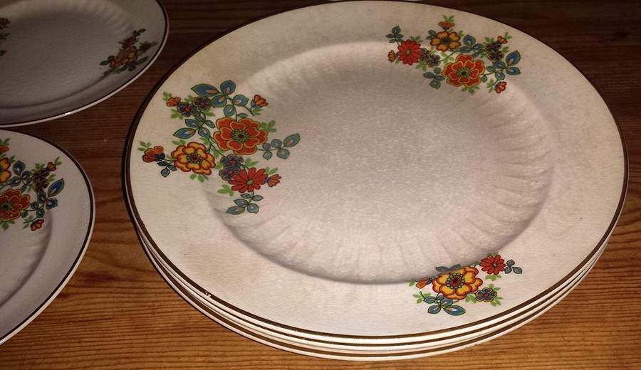ATG38 Dinner Plate by Atlas Globe China Co-1