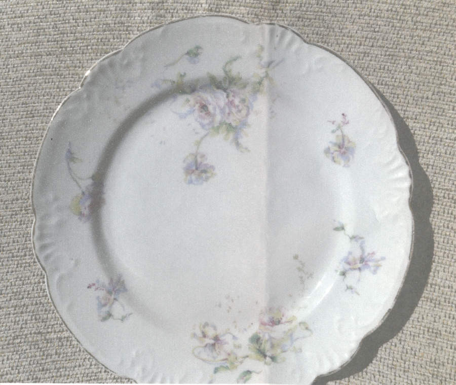 AUS477 Dinner Plate by Austria-1