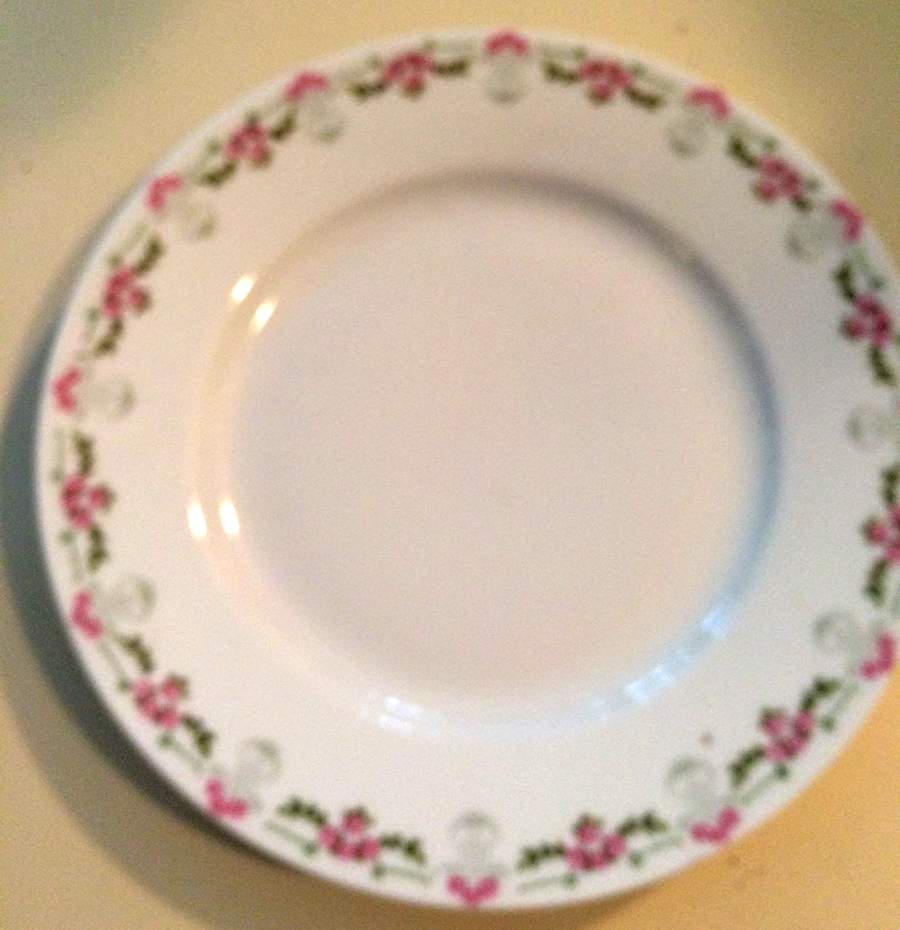 ALT751 Dinner Plate by Altrohlau-1