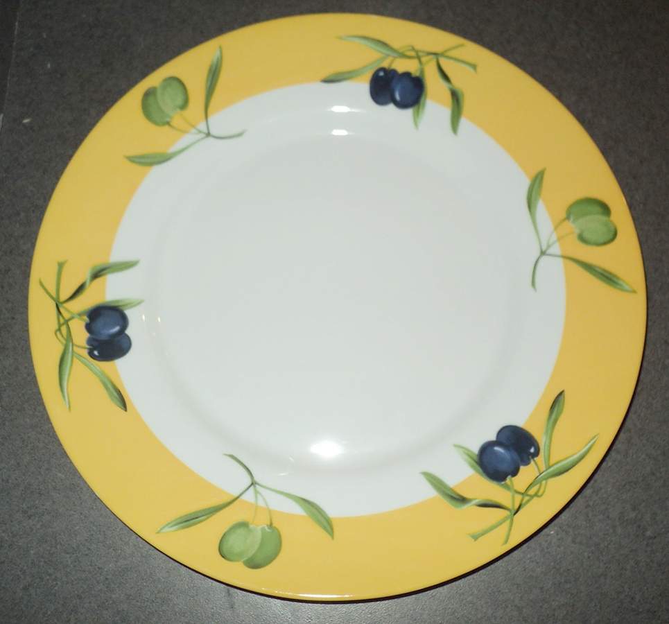 ARP67 Dinner Plate by Arcopal-1