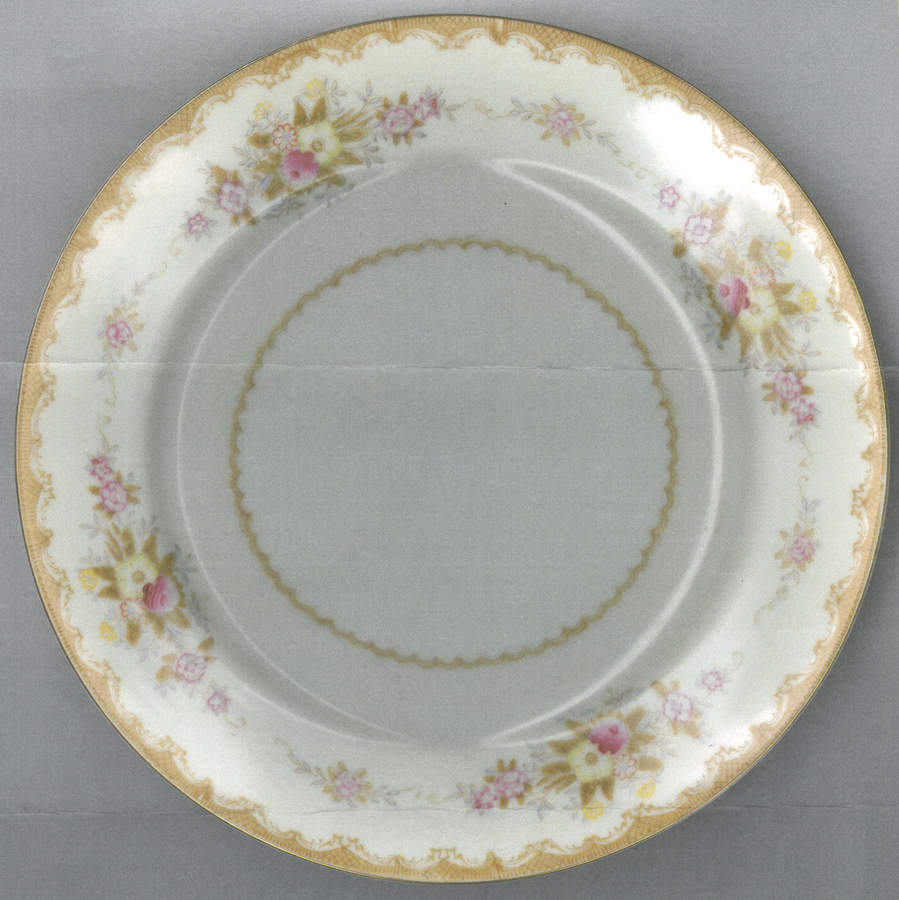 ASA11 Salad Plate by Asahi-1