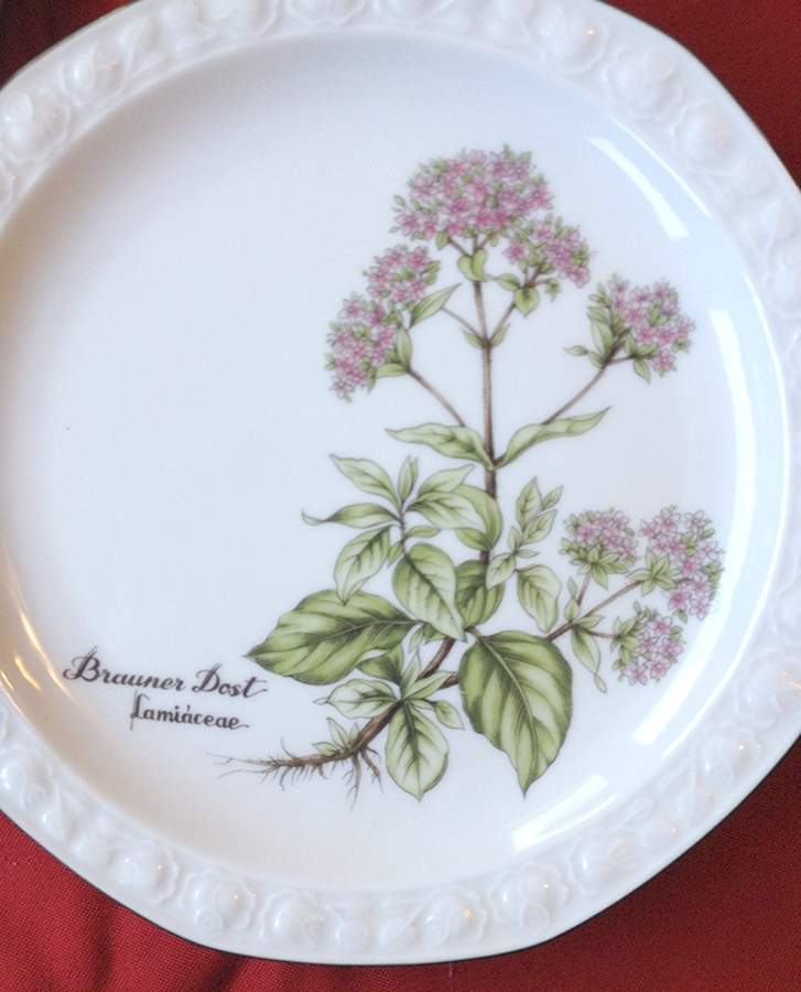Alpina Salad Plate by Asta-1