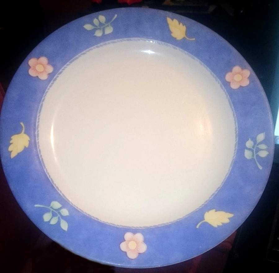 ARP68 Dinner Plate by Arcopal-1