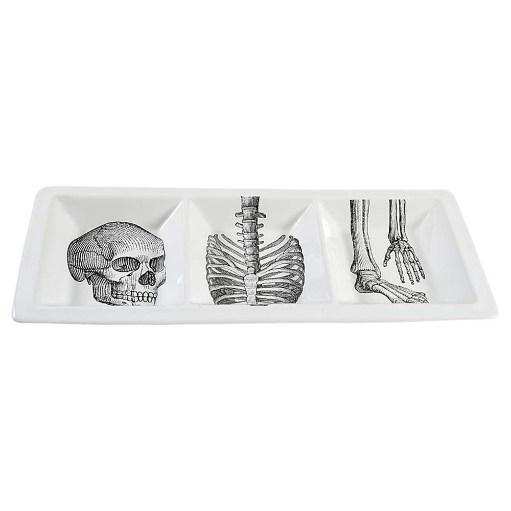 Anatomy Lesson 3 Part Rectangular Divided Server by 222 Fifth (PTS)-1