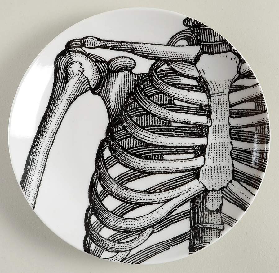 Anatomy Lesson Appetizer Plate by 222 Fifth (PTS)-1