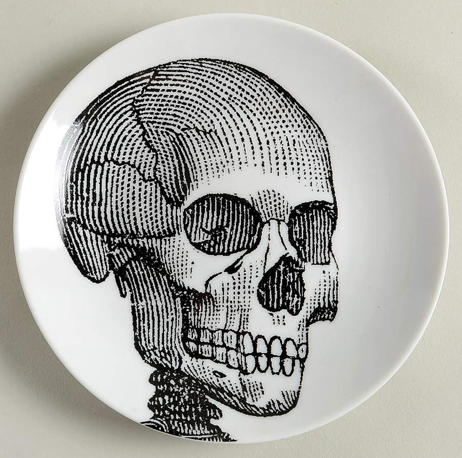 Anatomy Lesson Appetizer Plate by 222 Fifth (PTS)-1