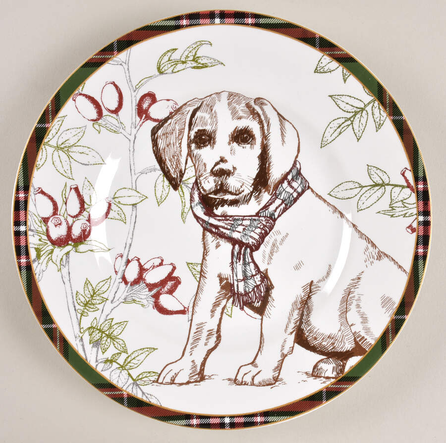 Wexford Salad Plate by 222 Fifth (PTS)-1