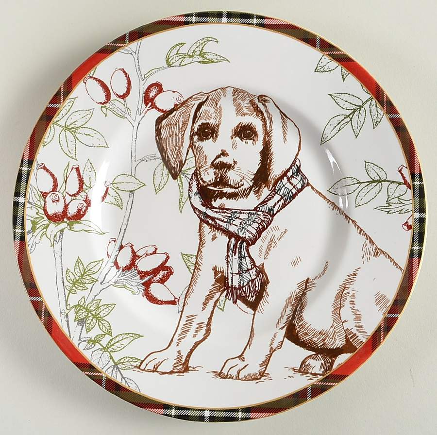 Wexford Salad Plate by 222 Fifth (PTS)-1