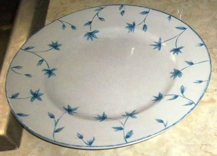 Cornflower Dinner Plate by 222 Fifth (PTS)-1