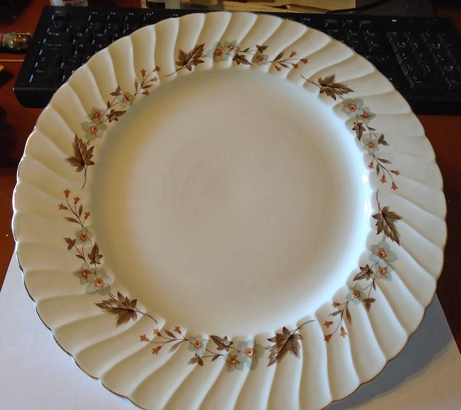 AYN290 Dinner Plate by John  Aynsley & Sons-1