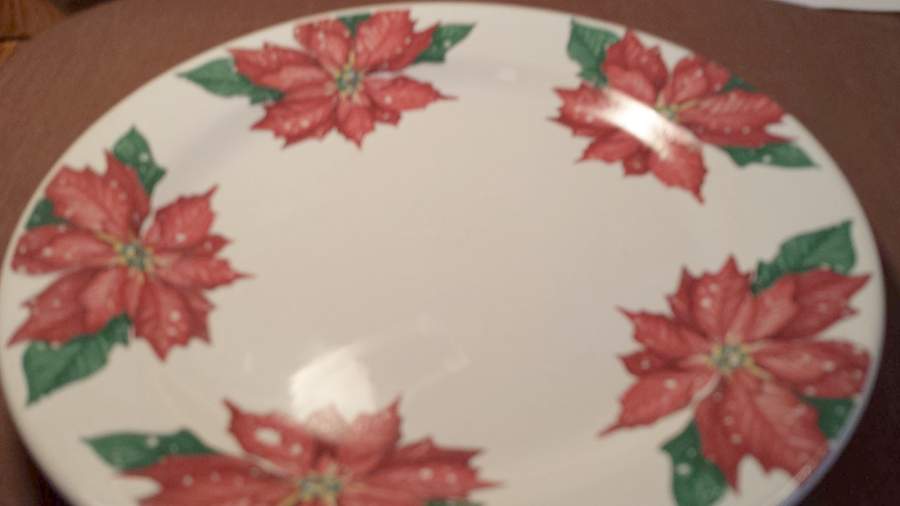 AIU12 Dinner Plate by Atico Intl USA-1