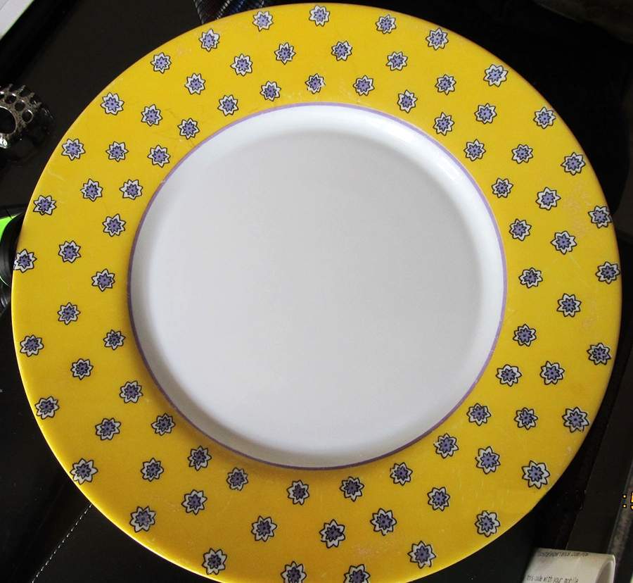 Celesta Dinner Plate by Arcopal-1