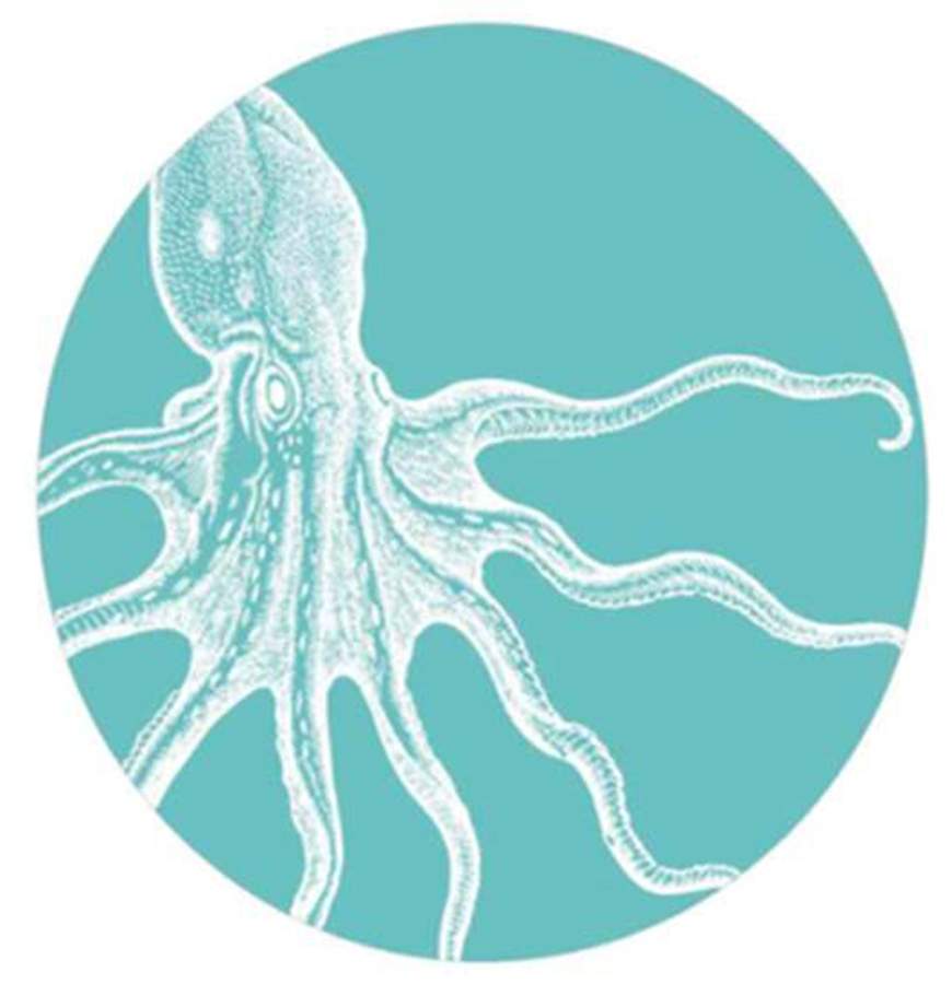 Seaside Turquoise Salad Plate by 222 Fifth (PTS)-1