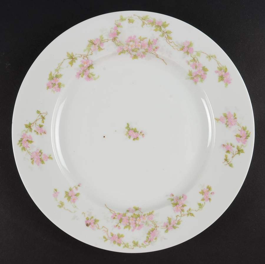 ALT878 Luncheon Plate by Altrohlau-1