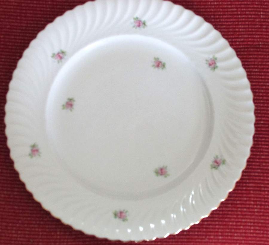 AL25 Dinner Plate by Alka-1