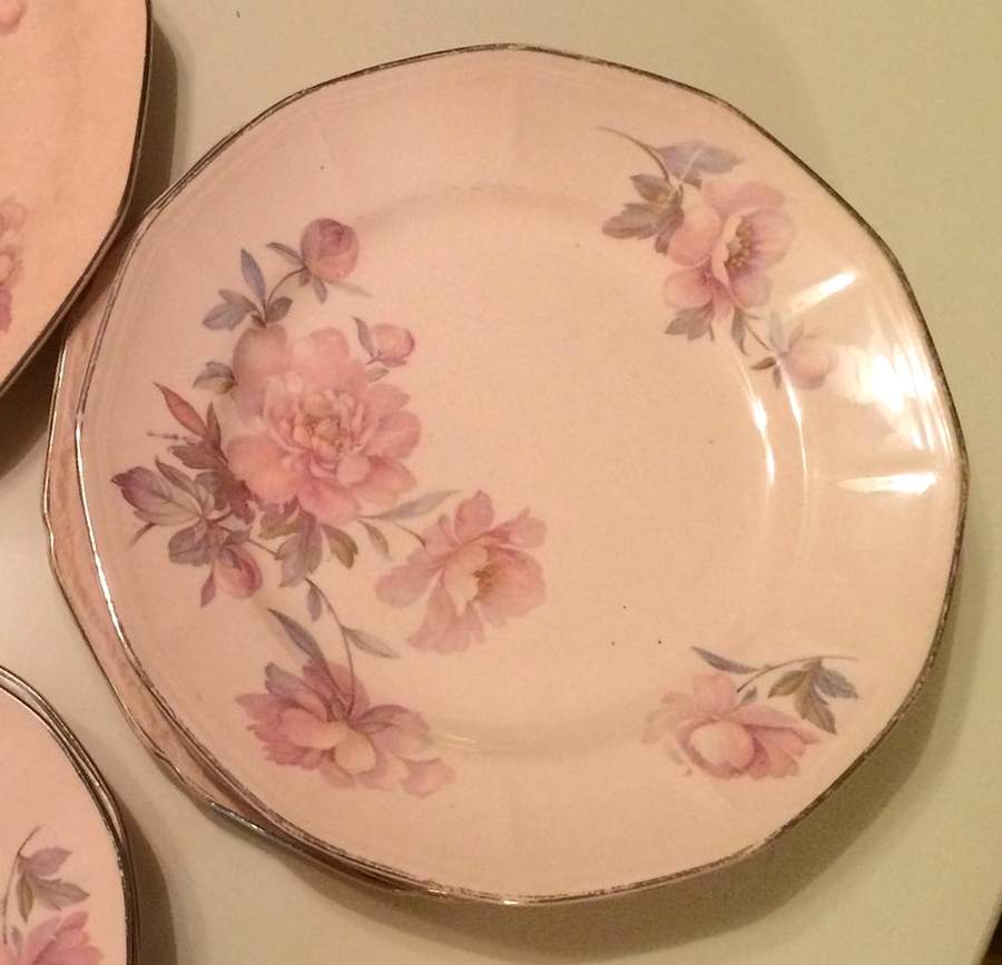 ATG41 Dinner Plate by Atlas Globe China Co-1