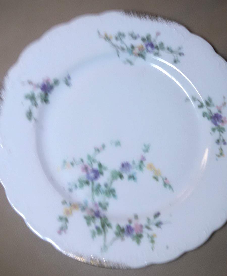 AUS484 Dinner Plate by Austria-1