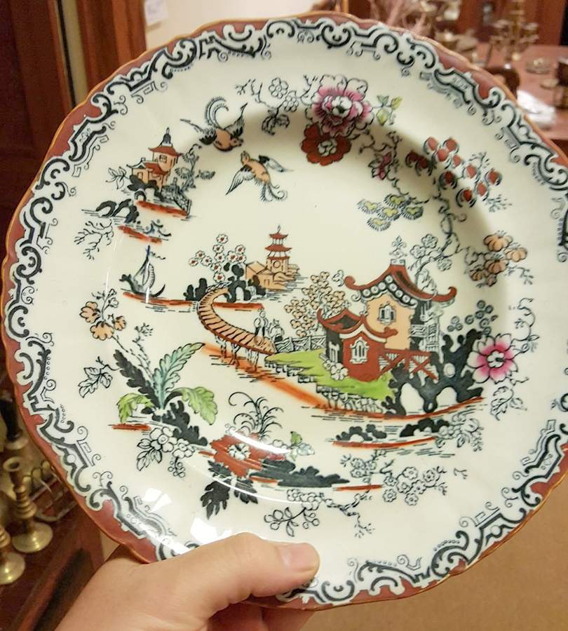 B9781 Dinner Plate by Ashworth Bros-1
