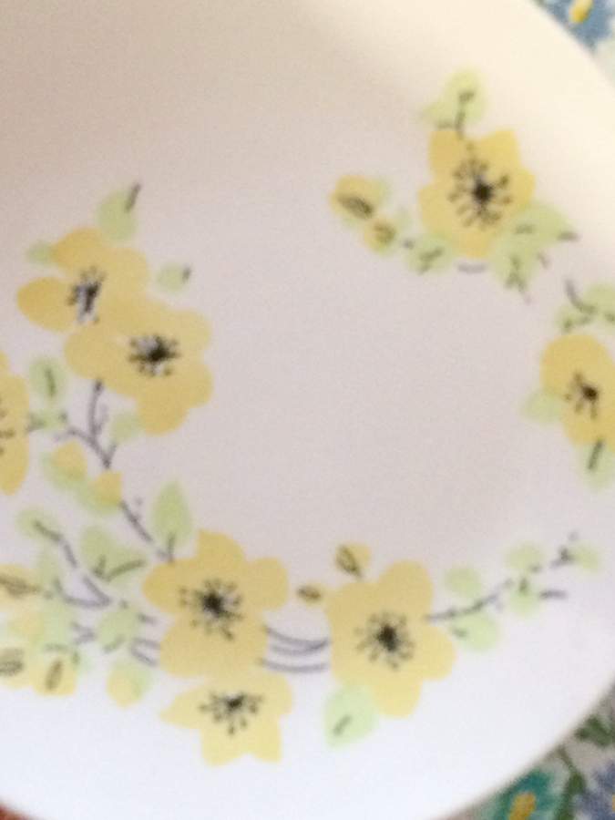 Dogwood Dinner Plate by Anchor Hocking-1