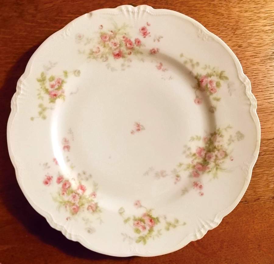 AUS485 Dinner Plate by Austria-1
