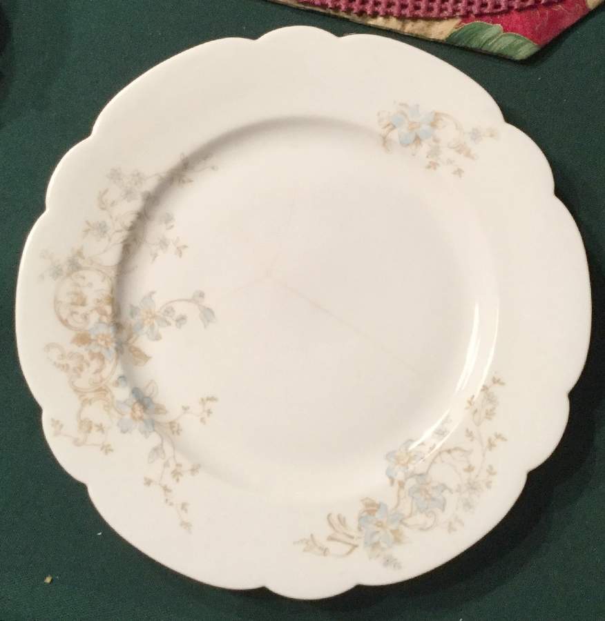 AUS486 Dinner Plate by Austria-1