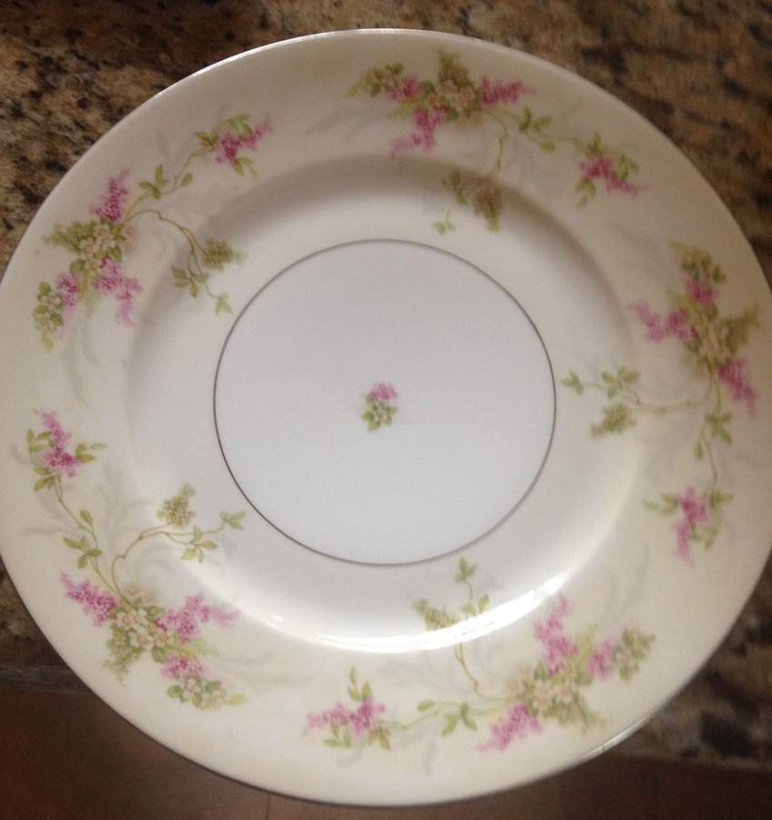 ALT886 Dinner Plate by Altrohlau-1