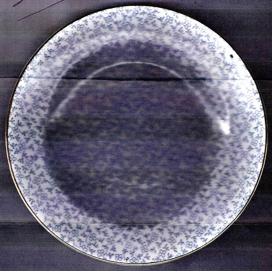 Pompadour Dinner Plate by Allerton's-1