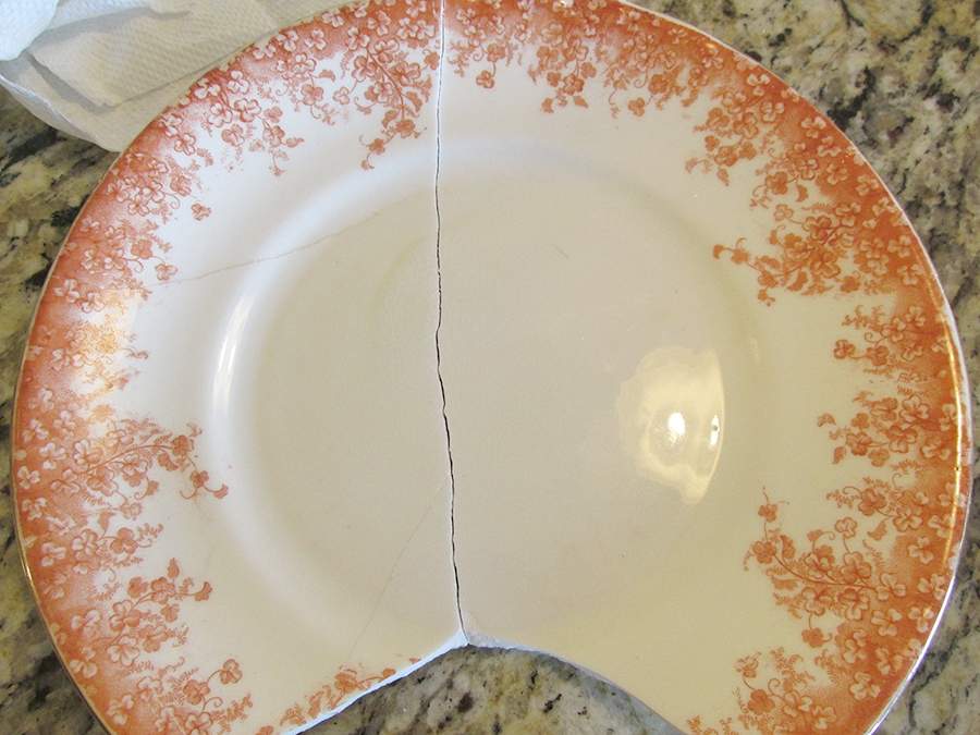 Shamrock Orange Dinner Plate by Allerton's-1
