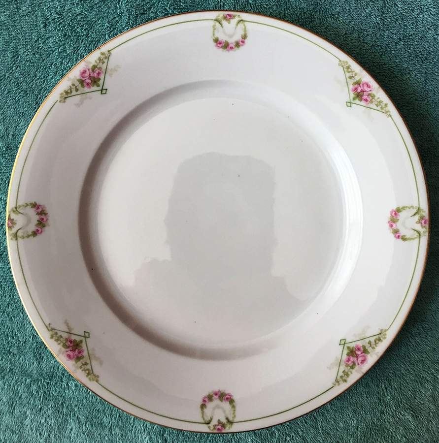 ALT891 Dinner Plate by Altrohlau-1
