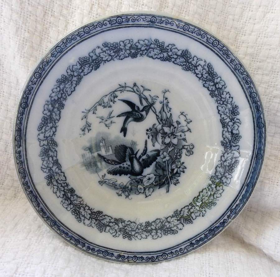 Vine Saucer by Anthony Shaw-1