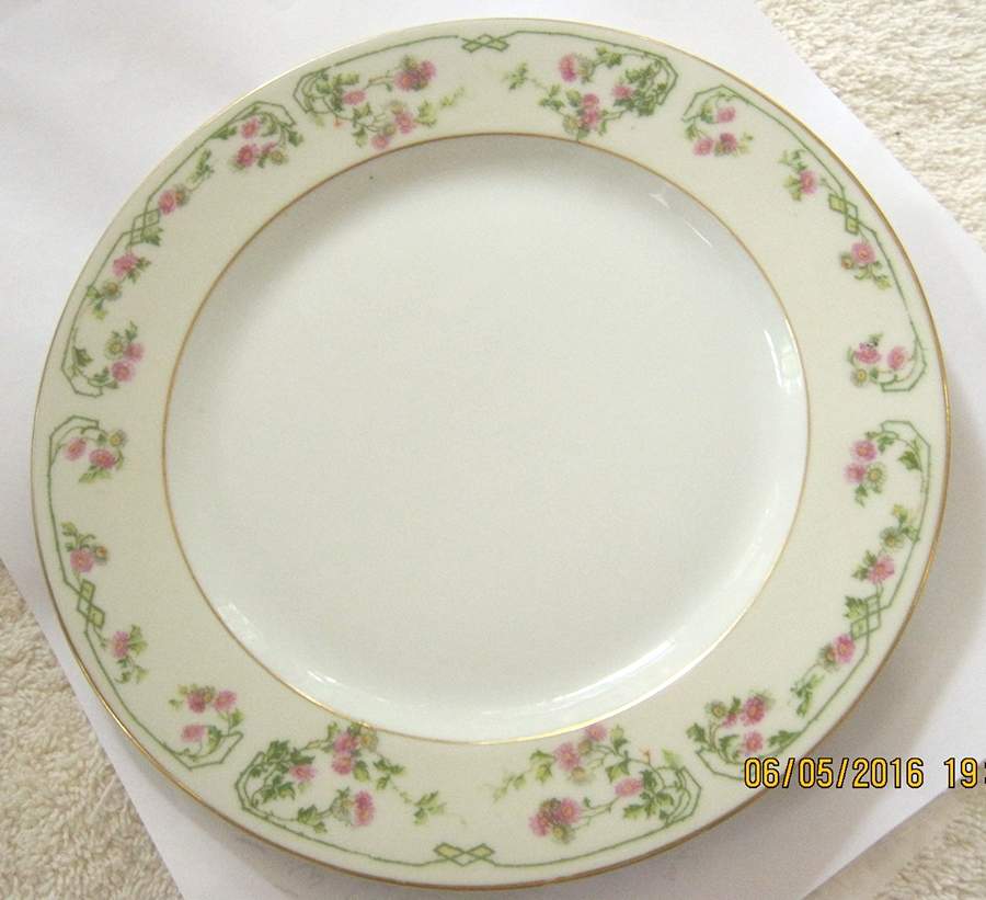 ALT896 Dinner Plate by Altrohlau-1