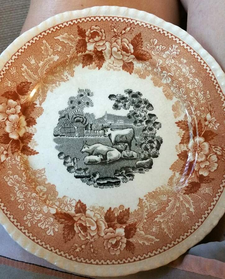 English Scenic Pink and Black Dinner Plate by Adams China-1
