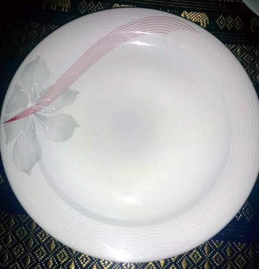 ARZ291 Dinner Plate by Arzberg-1