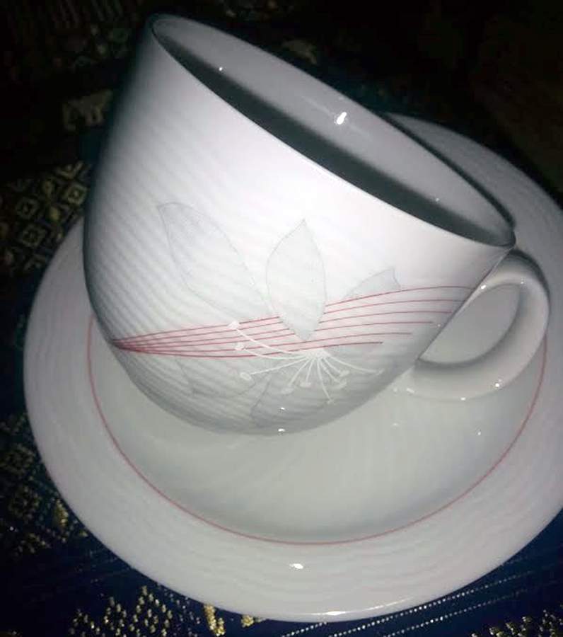 ARZ291 Flat Cup & Saucer Set by Arzberg-1