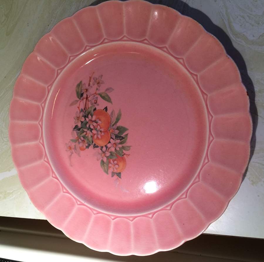 ACW20 Dinner Plate by American Chinaware-1