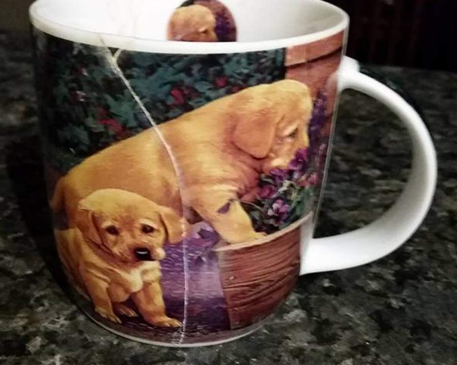 Backyard Gardener Mug by Ashdene-1