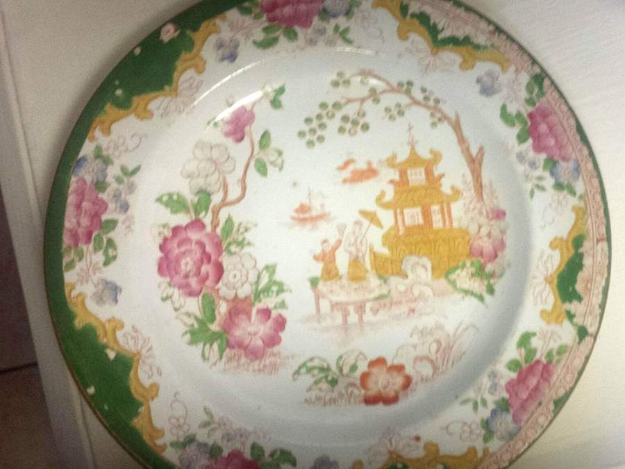 12881 Dinner Plate by Adderley-1