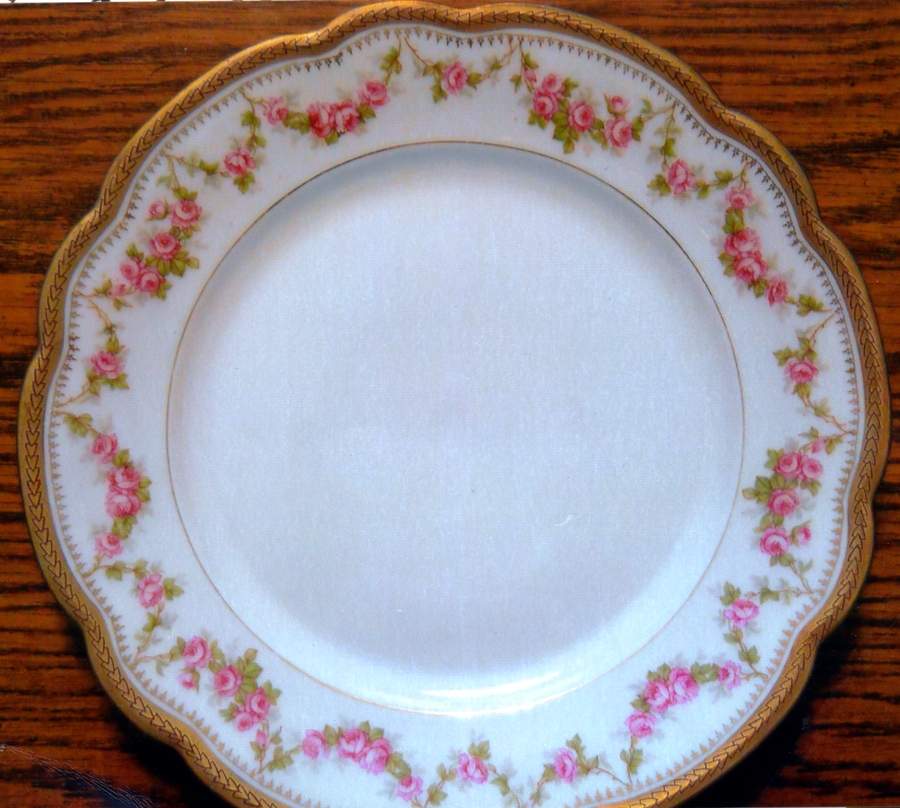 ALT901 Dinner Plate by Altrohlau-1