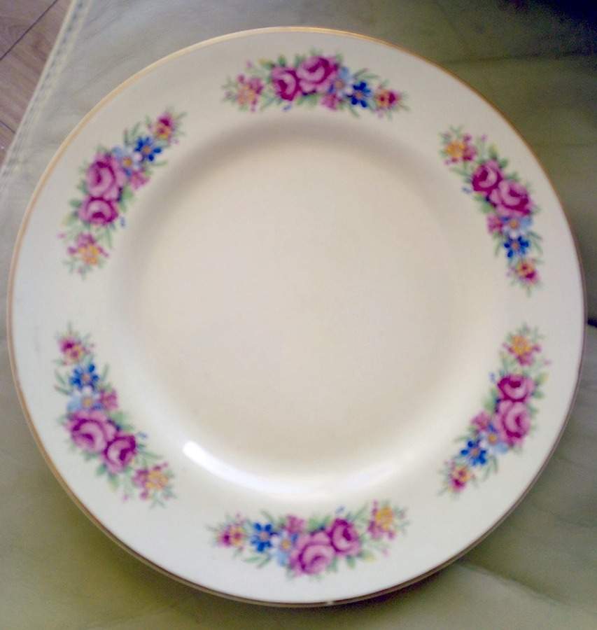 ARK65 Dinner Plate by Arklow-1