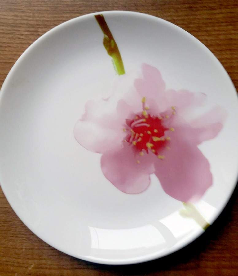 Watercolor Dessert/Pie Plate by Arcopal-1