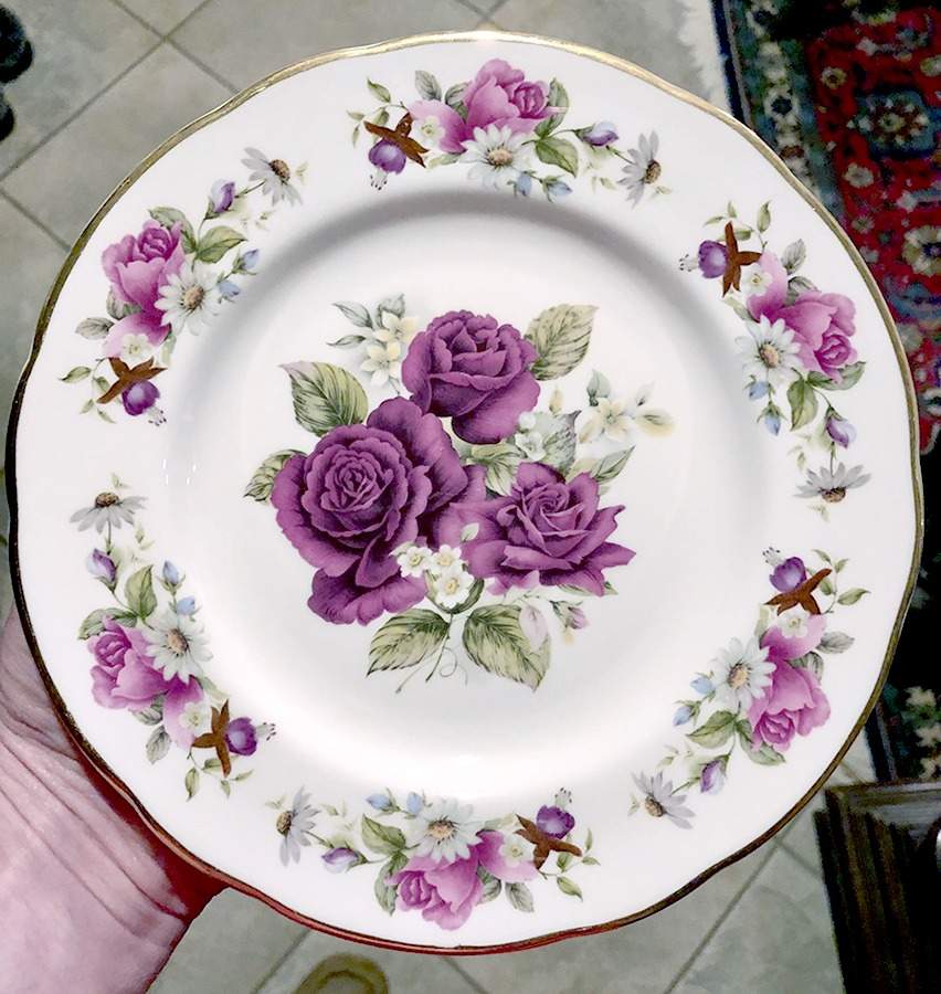 ANX22 Dinner Plate by Allyn Nelson-1